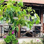 Salkim Sahil Evi 2*