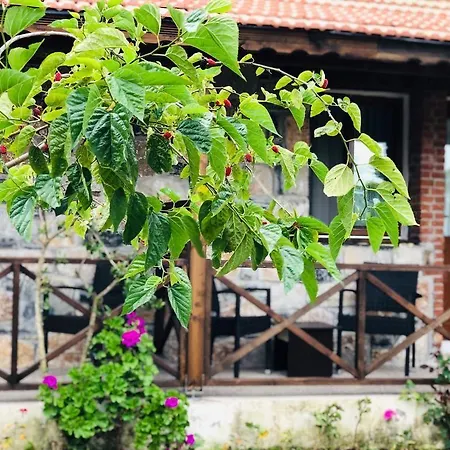Salkim Sahil Evi 2*