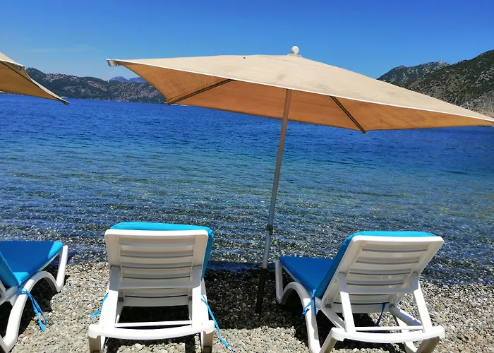 호텔 Salkim Sahil Evi 셀리미예