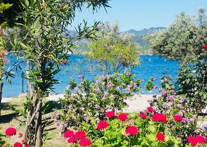 Salkim Sahil Evi 호텔 셀리미예